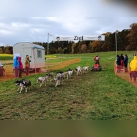Beim 29. Internationalen Schlittenhundewagenrennen treffen sich Musher (Hundeführer) aus Deutschland, Frankreich, Österreich, der Schweiz und Luxemburg, um gemeinsam mit rund 1000 Hunden in die neue Rennsaison zu starten. (Foto: Sled-Dog-Friends Oberndorf e. V.)