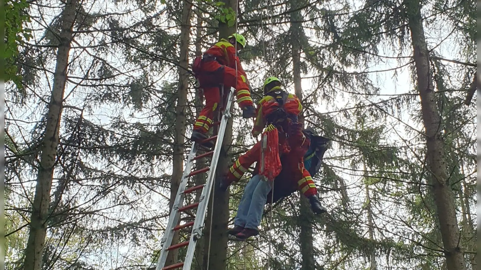 Eine Frau hatte sich in einem Baum mit ihrem Gleitschirm verfangen und musste von der Feuerwehr gerettet werden.  (Foto: Feuerwehr Gerolfingen)