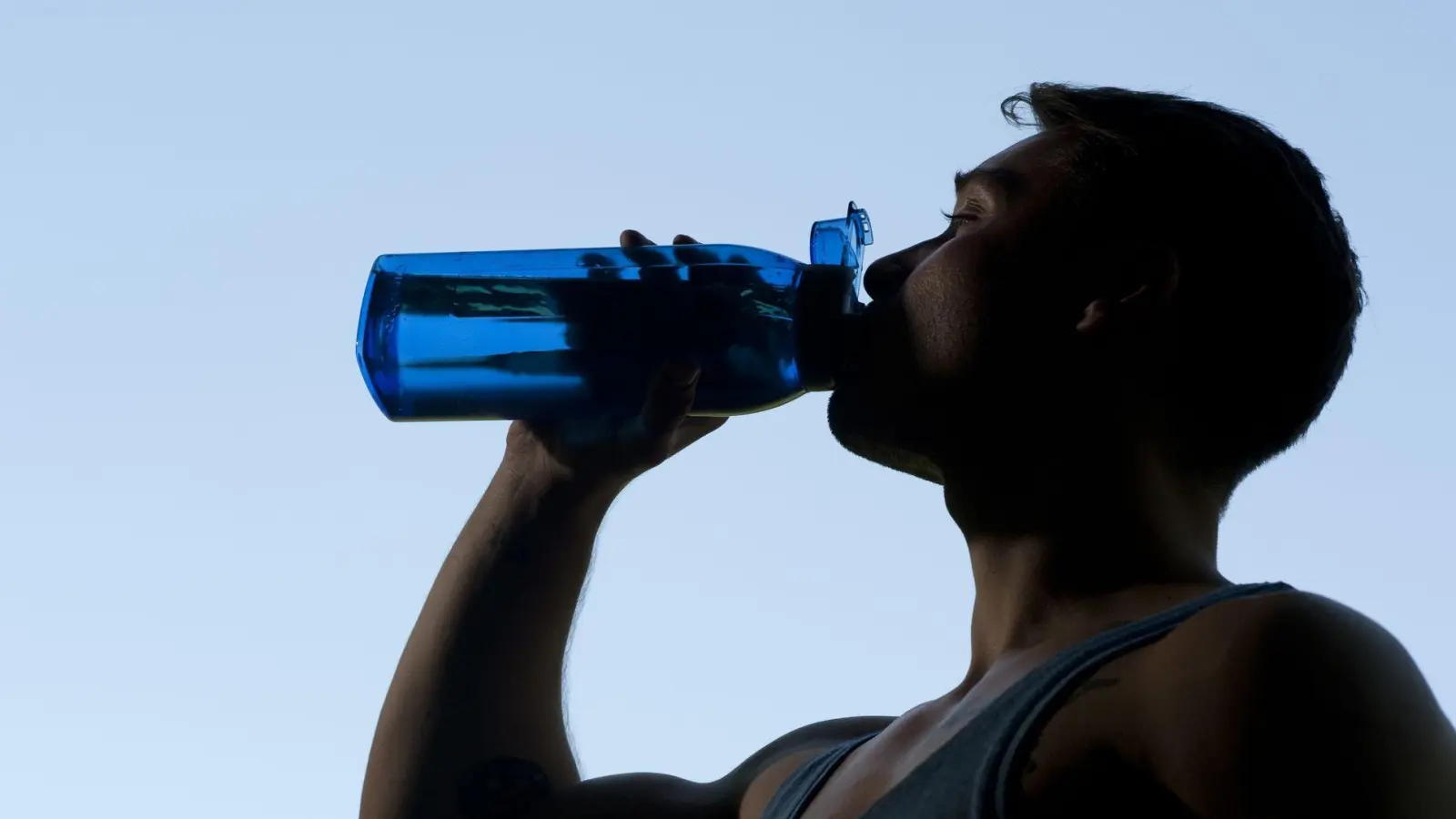 Natürlich günstiger: Ein selbst gemixter Durstlöscher ersetzt teure Fertigprodukte. (Foto: Klaus-Dietmar Gabbert/dpa-tmn)