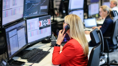 Überschuss an Wind- und Solarstrom lässt die Preise zeitweise ins Minus rutschen. (Archivbild)  (Foto: Jan Woitas/dpa)