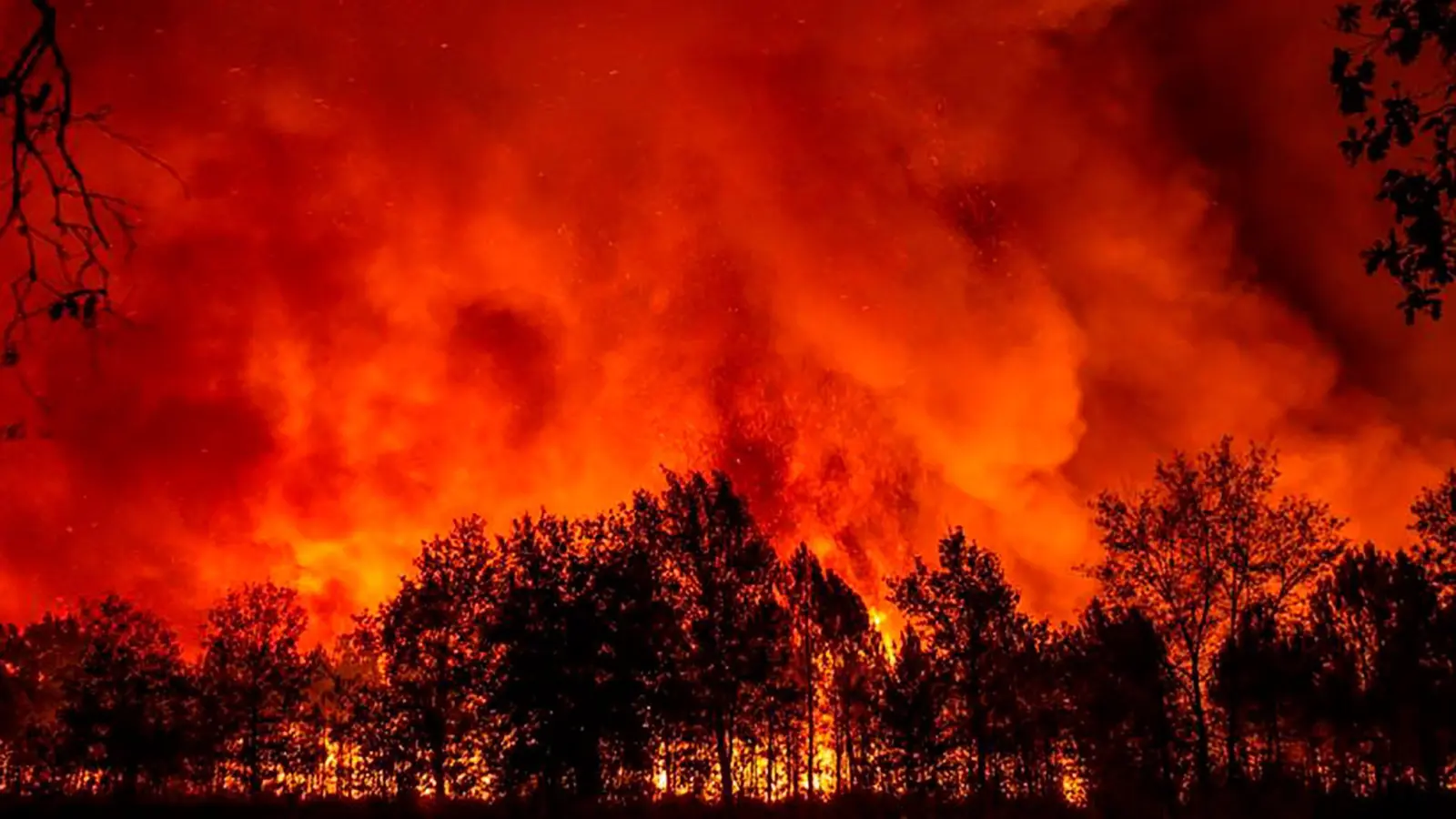 Ein Wald brennt in der Nähe des Dorfes Saumos in Südfrankreich (September). (Foto: Uncredited/SDIS33/dpa)