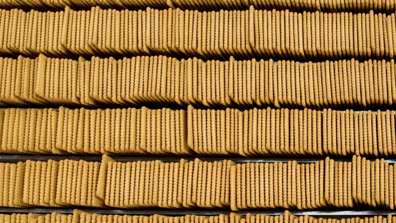 Testsieger im Fokus: Acht Produkte konnten im Test überzeugen, wobei sowohl Bio- als auch konventionelle Kekse vertreten sind. (Foto: picture alliance / dpa)