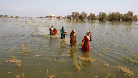 Pakistanische Frauen waten durch die Fluten auf  der Suche nach Zuflucht. (Foto: Fareed Khan/AP/dpa)