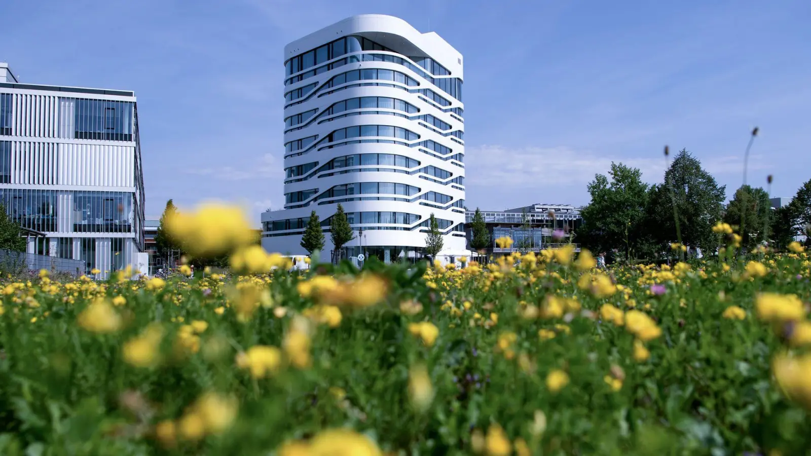 Der Bio-Campus Martinsried soll weiter ausgebaut werden. (Archivbild) (Foto: picture alliance / Sven Hoppe/dpa)