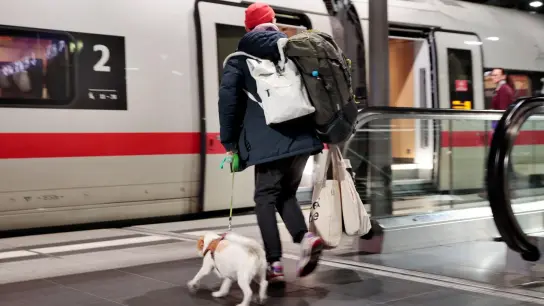 Kunden der Deutschen Bahn können Fahrkarten für Hunde ab sofort auch als Online-Tickets kaufen, nicht mehr nur auf Papier. (Foto: Carsten Koall/dpa)
