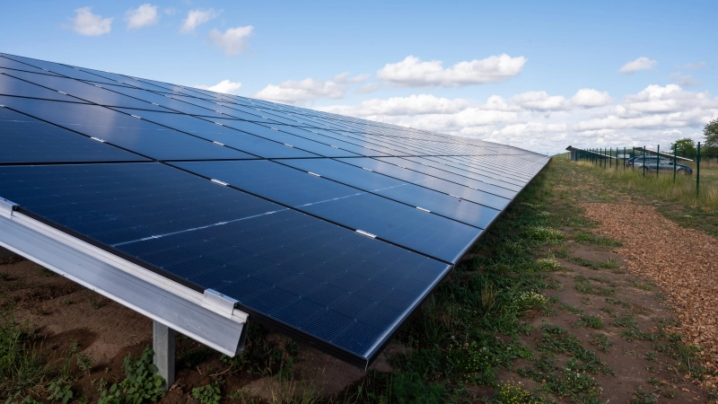Der Solarpark der Marktgemeinde Flachslanden wird sehr gut von Tieren aller Art besucht, wie das Monitoring zeigt. (Foto: René Chlopotowski)