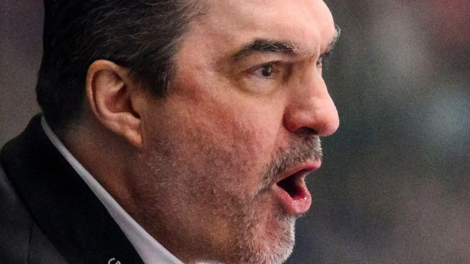  Larry Mitchell holt einen Neuen für die Panther. (Archivbild) (Foto: Tom Weller/dpa)