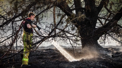 Zur Bekämpfung der Flammen baten die Niederlande nach Angaben der Behörden zum ersten Mal auch andere Länder um Hilfe. (Foto: Rob Engelaar/ANP/dpa)