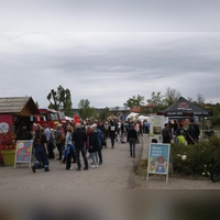 Beim Baustellenfest der Landesgartenschau nutzen Interessierte die Chance, einen Blick auf das Gelände zu werfen. (Foto: Alexander Rausch)