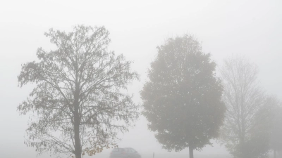 Im Donauraum erwartet der DWD dichten Nebel. In Südbayern könnte es dagegen Glatt werden. (Archivbild)  (Foto: Stefan Puchner/dpa)