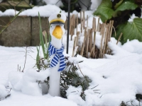 Schnee ahoi - gesehen in Neustadt (Foto: Herbert Jakob)