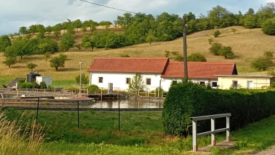 In die Kläranlage Faulenberg wurde Heizöl eingeleitet. (Archivbild: Susanne Landgraf)