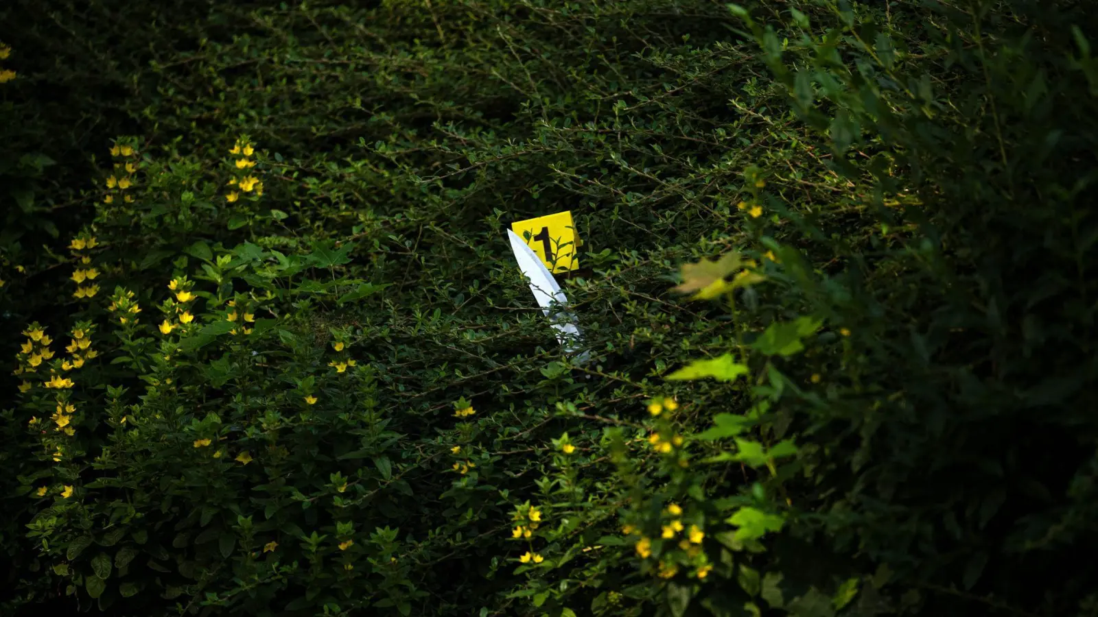 Laut Polizei kamen auch Messer zum Einsatz. (Foto: Sina Schuldt/dpa)