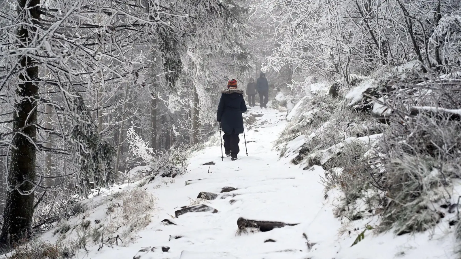 Wanderer gehen einen mit Neuschnee bedeckten Weg im Schwarzwald entlang. (Foto: Uli Deck/dpa)