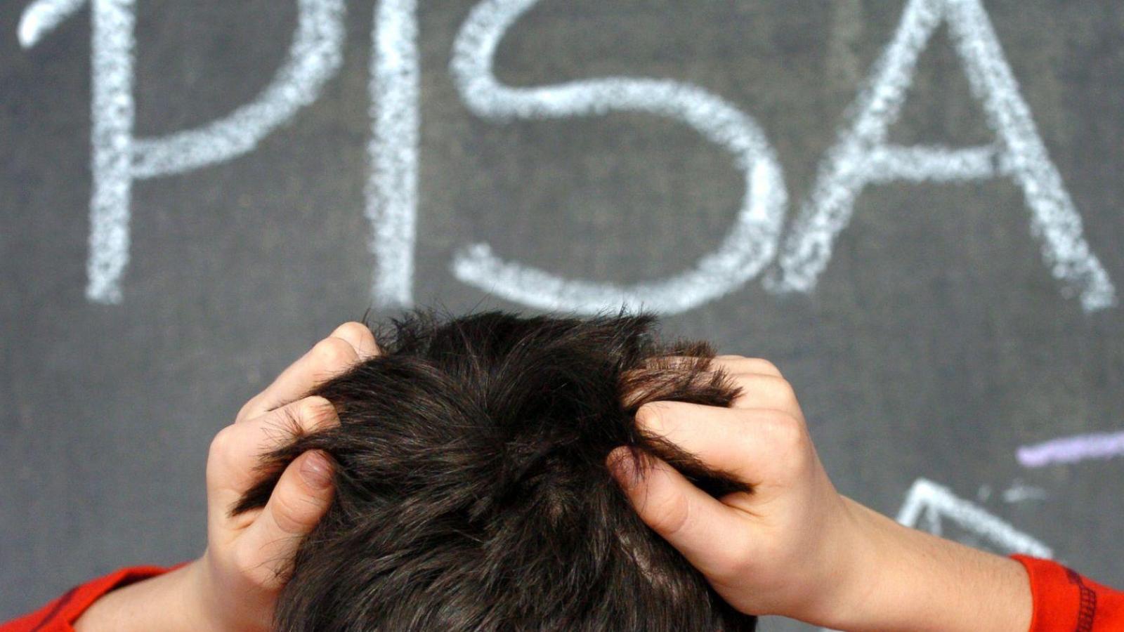'Bild': Deutschland sackt bei Pisa-Studie weiter ab