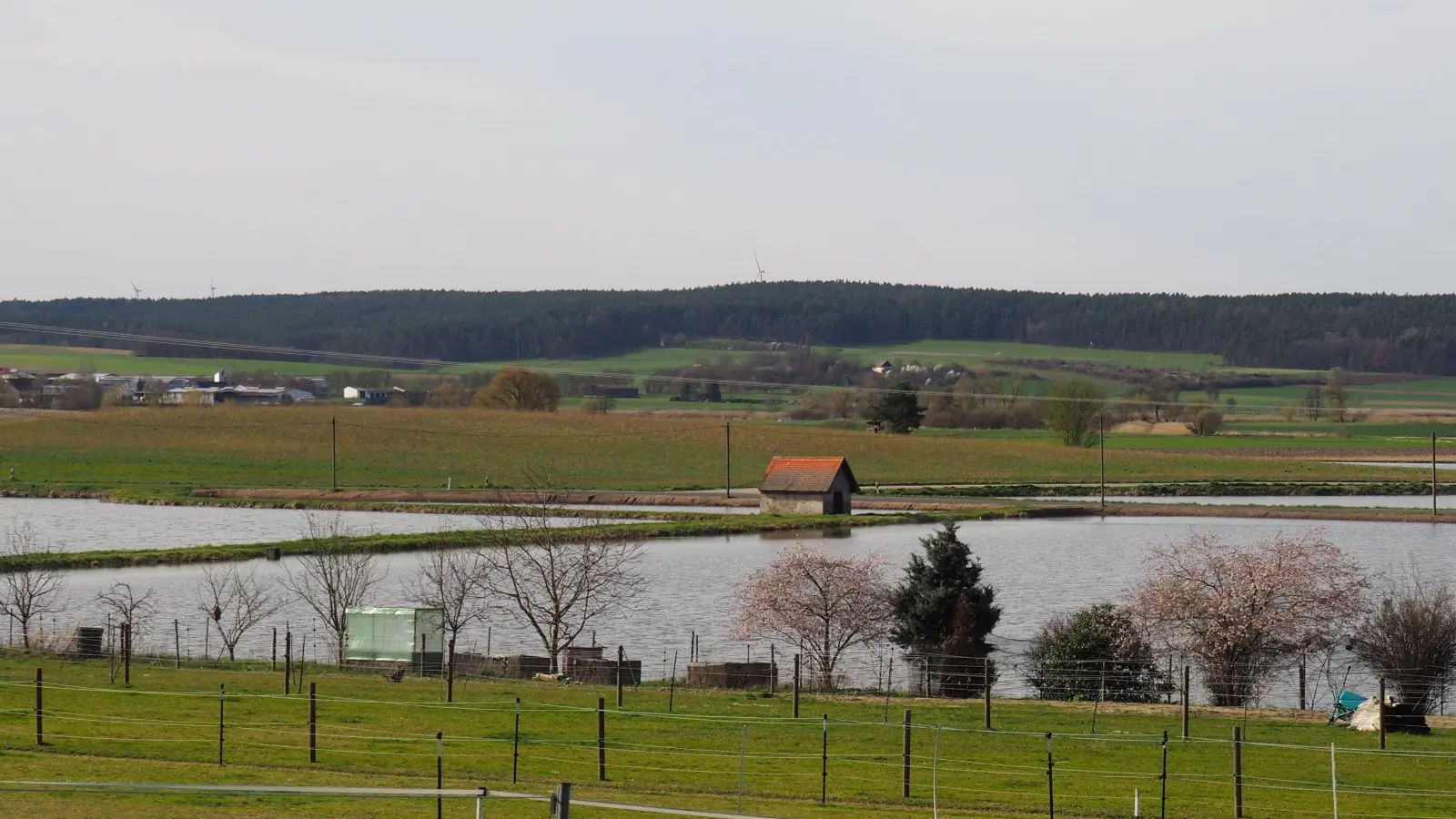Auf der Anhöhe in der Bildmitte (hinter den Weihern) sollten die Solarmodule für eine Freiflächen-PV-Anlage bei Gottesgab aufgestellt werden. (Foto: Karl-Heinz Panzer)