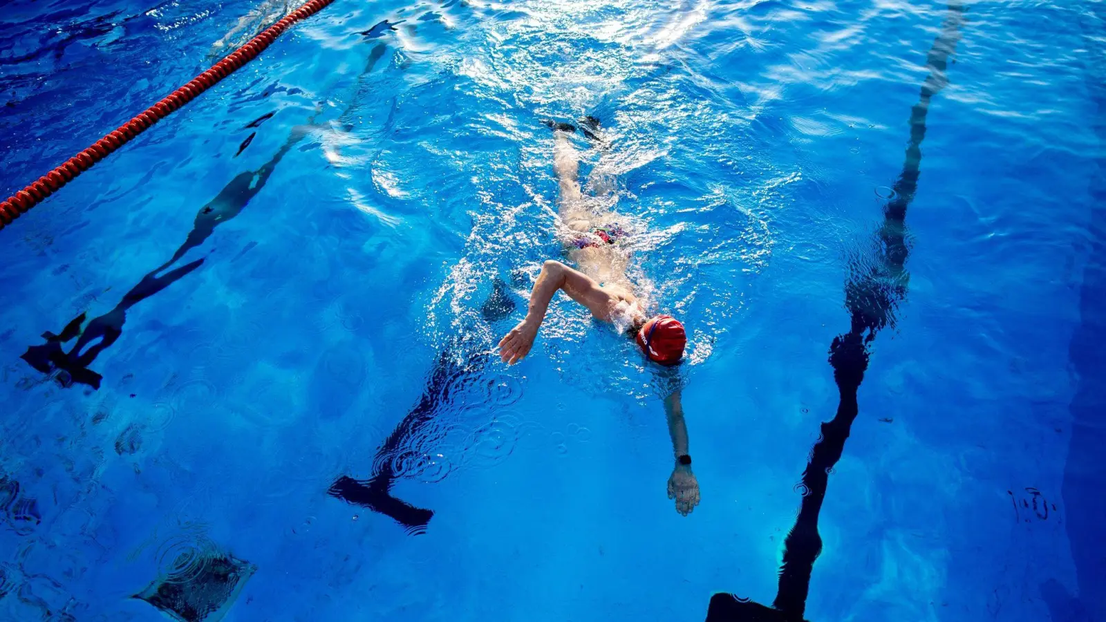 Schwimmen schont die Gelenke und ist daher eine gut gewählte Sportart, wenn man von Arthrose betroffen ist. (Foto: Hauke-Christian Dittrich/dpa/dpa-tmn)