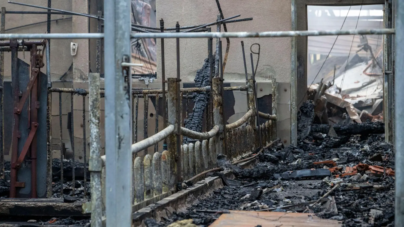 Der Schweinestall ist komplett abgebrannt. (Foto: Stefan Puchner/dpa)