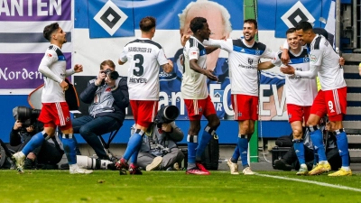 Hamburgs Spieler feiern den Treffer zum 2:0. (Foto: Axel Heimken/dpa)