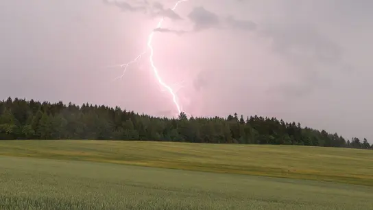 Ein Blitz ist bei einem Gewitter in der Nähe von Langenau in Sachsen über einem Waldstück zu sehen. (Foto: B&S/dpa)