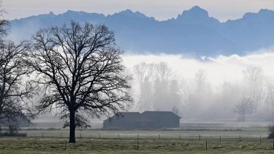 Bis auf 16 Grad könnten die Temperaturen im Voralpenraum steigen. (Foto: Uwe Lein/dpa)