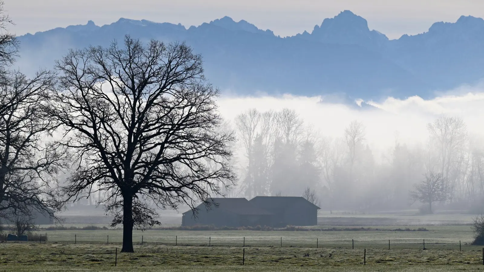Bis auf 16 Grad könnten die Temperaturen im Voralpenraum steigen. (Foto: Uwe Lein/dpa)