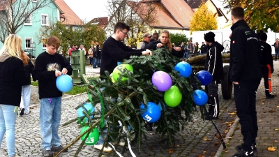 Der Kerwabaum wird am Samstag geschmückt und aufgestellt.  (Foto: Gudrun Schwarz-Köhler)