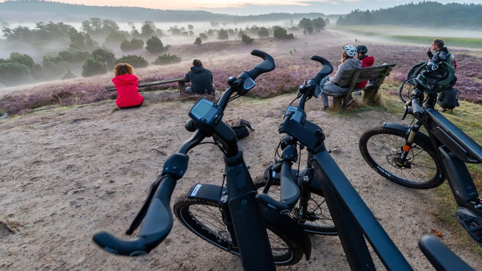 Teilnehmer einer E-Bike-Safari genießen den Sonnenaufgang in der Lüneburger Heide. (Foto: Philipp Schulze/dpa)
