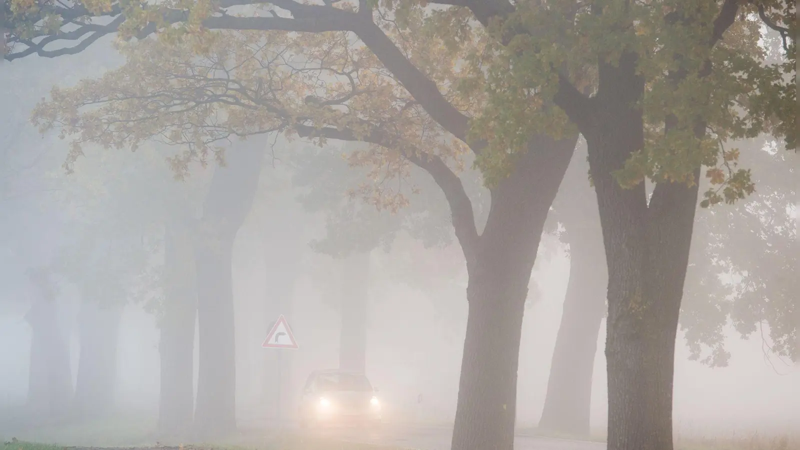 In den allermeisten Ecken Deutschlands bleibt es auch in den kommenden Tagen weitgehend trüb, etwas Hoffnung auf Sonne gibt es für den Südwesten.  (Foto: Patrick Pleul/dpa/dpa-tmn)
