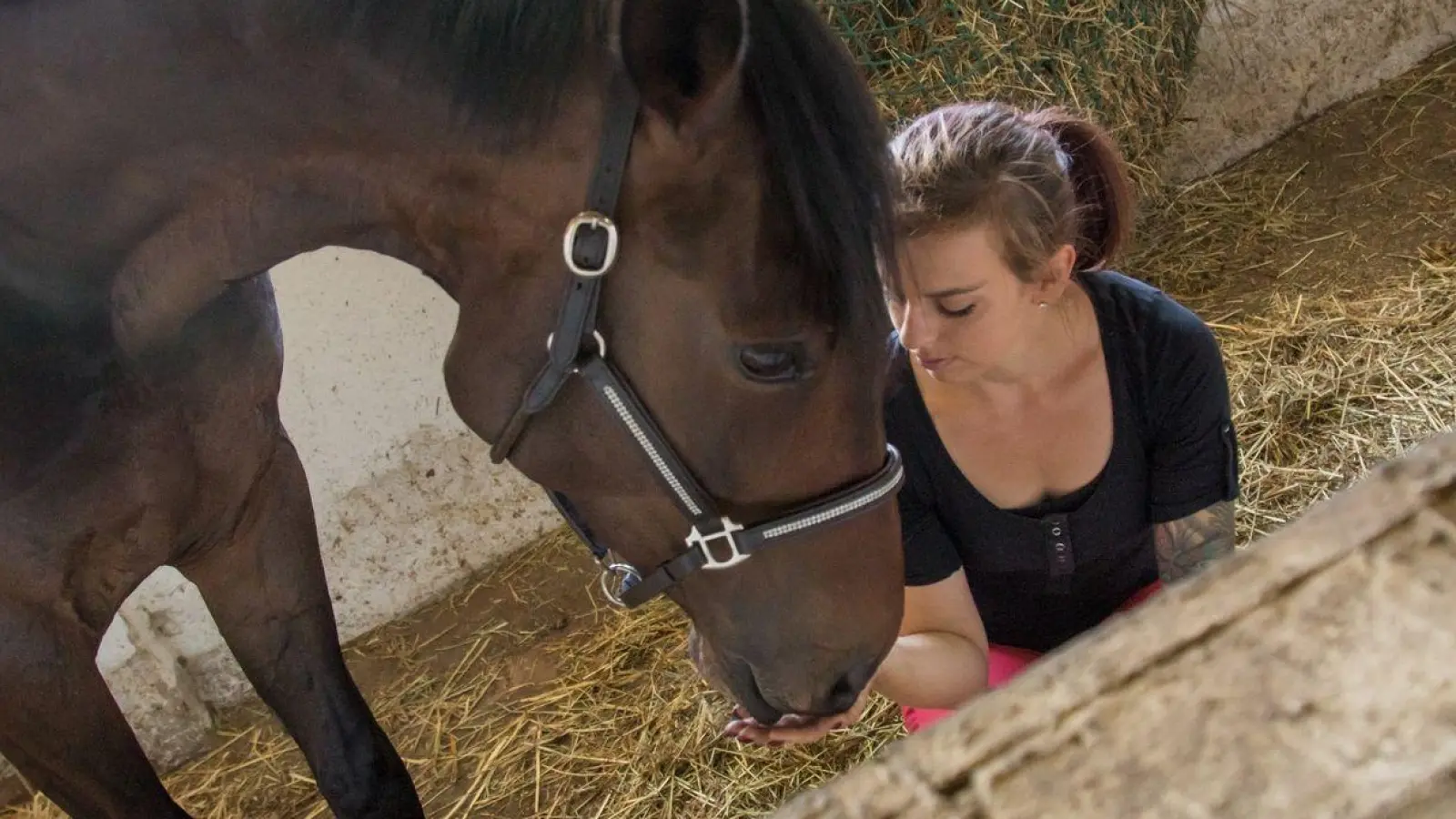 Wer Schuld an der Verletzung eines Pferdes ist, muss auch für die Tierarztkosten geradestehen. (Foto: Christin Klose/dpa-tmn)
