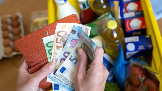 Eine Einkaufskiste mit Lebensmitteln und eine Frau Euro-Banknoten in den Händen hält. (Foto: Hendrik Schmidt/dpa/Illustration)