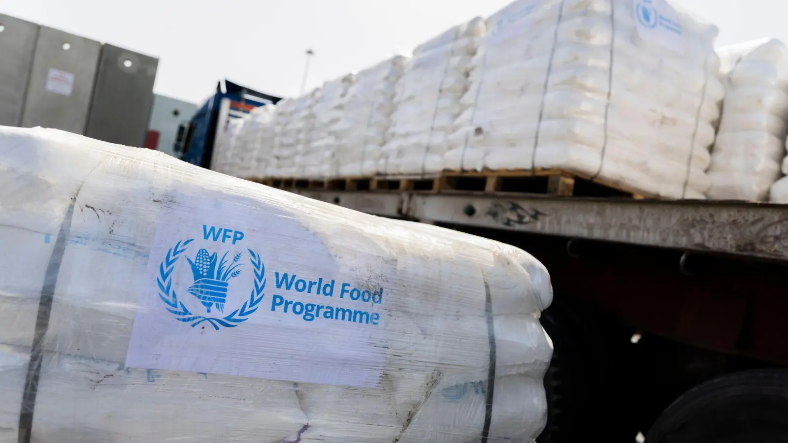 Das Welternährungsprogramm soll mehr Geld erhalten. (Archivbild) (Foto: Christoph Soeder/dpa)