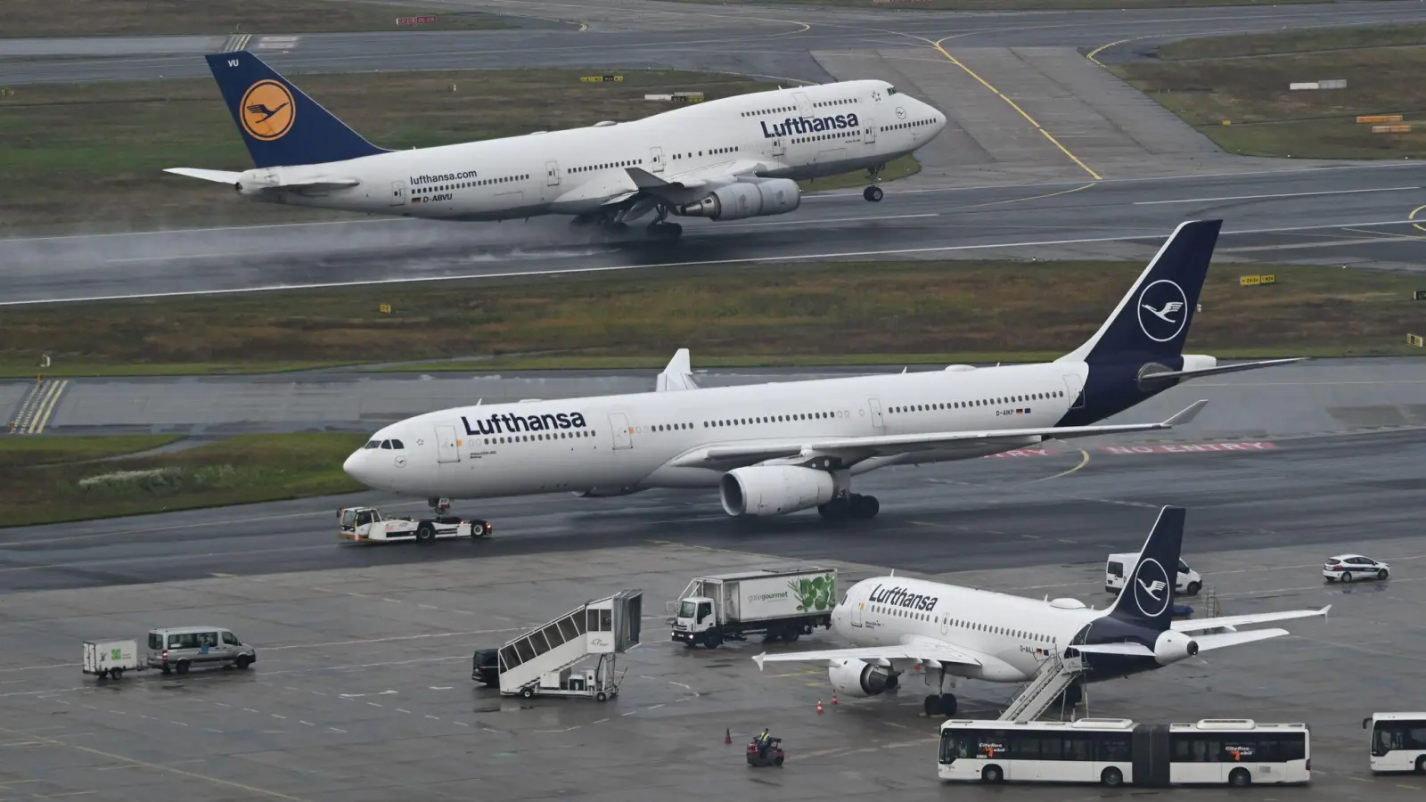 Die Lufthansa schaut optimistisch in die Zukunft. (Foto: Arne Dedert/dpa)