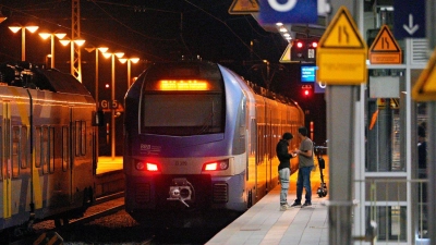 Leere Züge am Bahnhof Rosenheim in Bayern. (Foto: Uwe Lein/dpa)