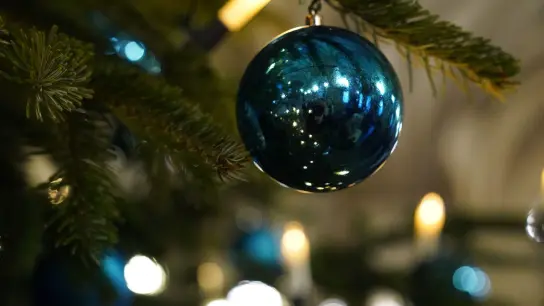 Eine Umfrage ergab, dass nur noch 12 Prozent der Weihnachtsbaumkäuferinnen und -käufer bis zum 24. Dezember warten, um den Baum aufzustellen. (Foto: Marcus Brandt/dpa)