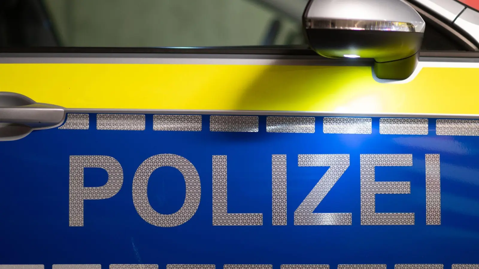 Die Polizei hofft auf Hinweise zum Verbleib von vier Schildkröten einer geschützten Art. (Symbolbild: Robert Michael/dpa)