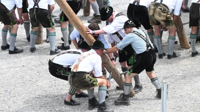 Zum 1. Mai werden wieder überall in Bayern Maibäume aufgestellt. (Archivbild) (Foto: Felix Hörhager/dpa)