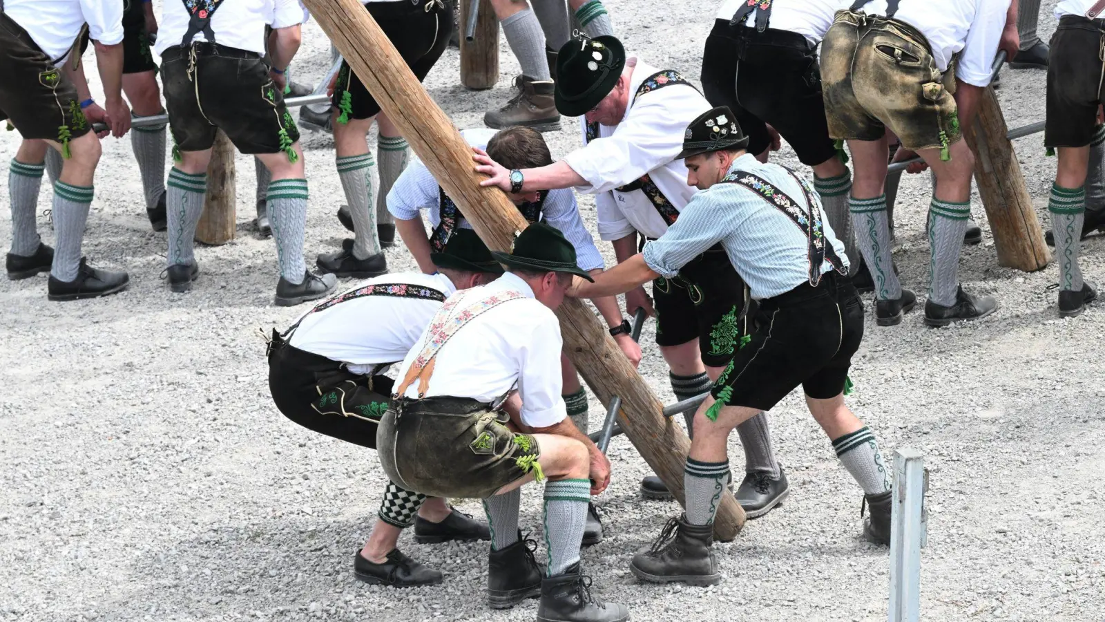 Zum 1. Mai werden wieder überall in Bayern Maibäume aufgestellt. (Archivbild) (Foto: Felix Hörhager/dpa)