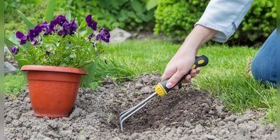 Auch im Juli gibt es für Gartenfreunde allerlei zu erledigen.  (Foto: Pixabay)