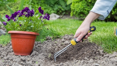 Auch im Juli gibt es für Gartenfreunde allerlei zu erledigen.  (Foto: Pixabay)