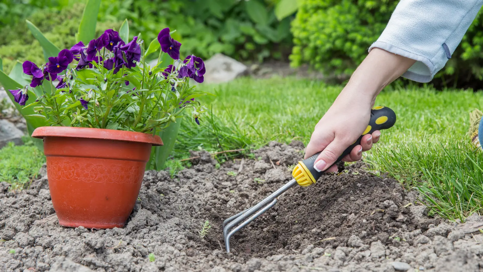 Auch im Juli gibt es für Gartenfreunde allerlei zu erledigen.  (Foto: Pixabay)