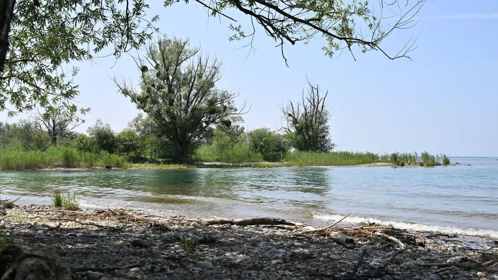 Für einen Abschnitt am Mehrerauer Seeufer hat die Stadt Bregenz eine Nacktbadeverordnung erlassen.  (Foto: Felix Kästle/dpa)