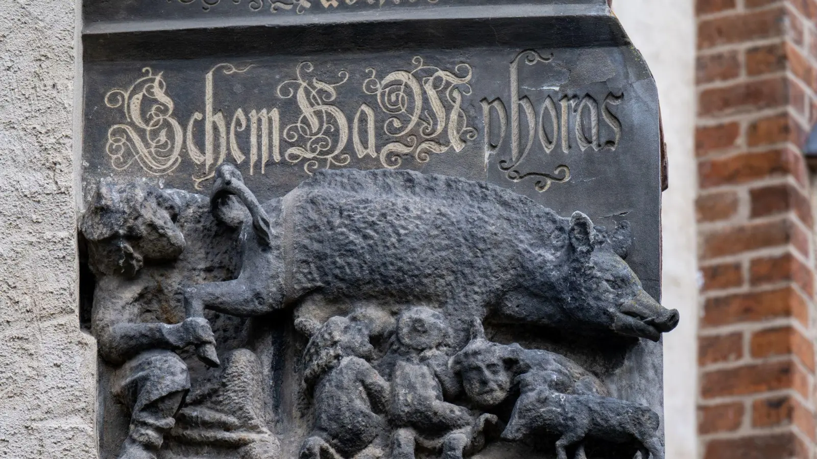 Eine als „Judensau“ bezeichnete Schmähplastik ist an der Stadtkirche in Wittenberg in Sachsen-Anhalt zu sehen. (Foto: Hendrik Schmidt/dpa)