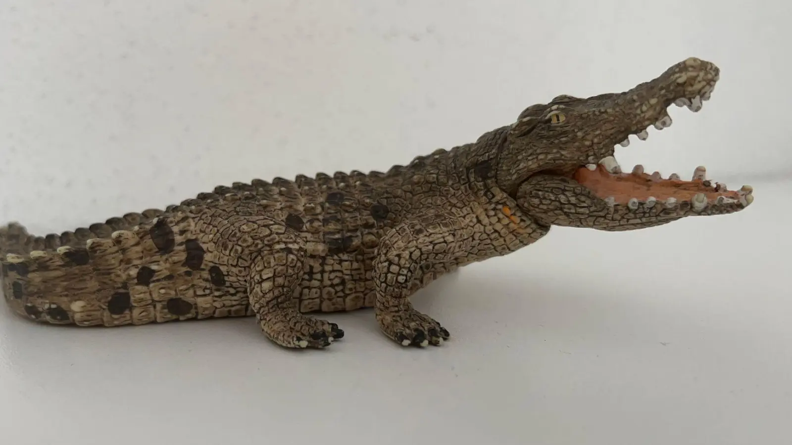 Ein Passant rief die Polizei, weil er das Spielzeugkrokodil für ein echtes hielt.  (Foto: Spangler/Polizeiinspektion Regensburg-Süd/dpa)