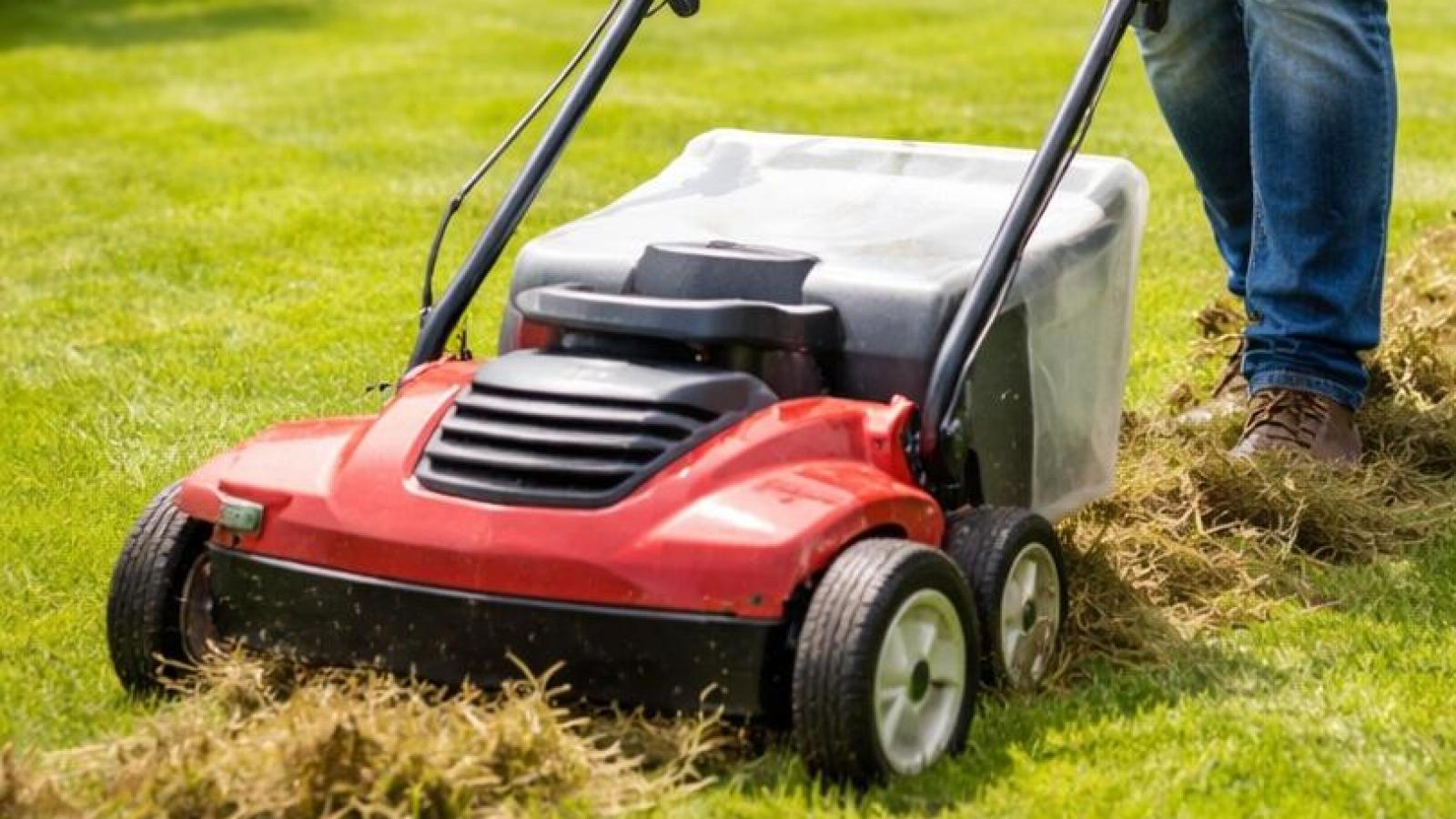 So bringen Sie Ihren Rasen im Frühjahr wirklich in Form! | FLZ.de