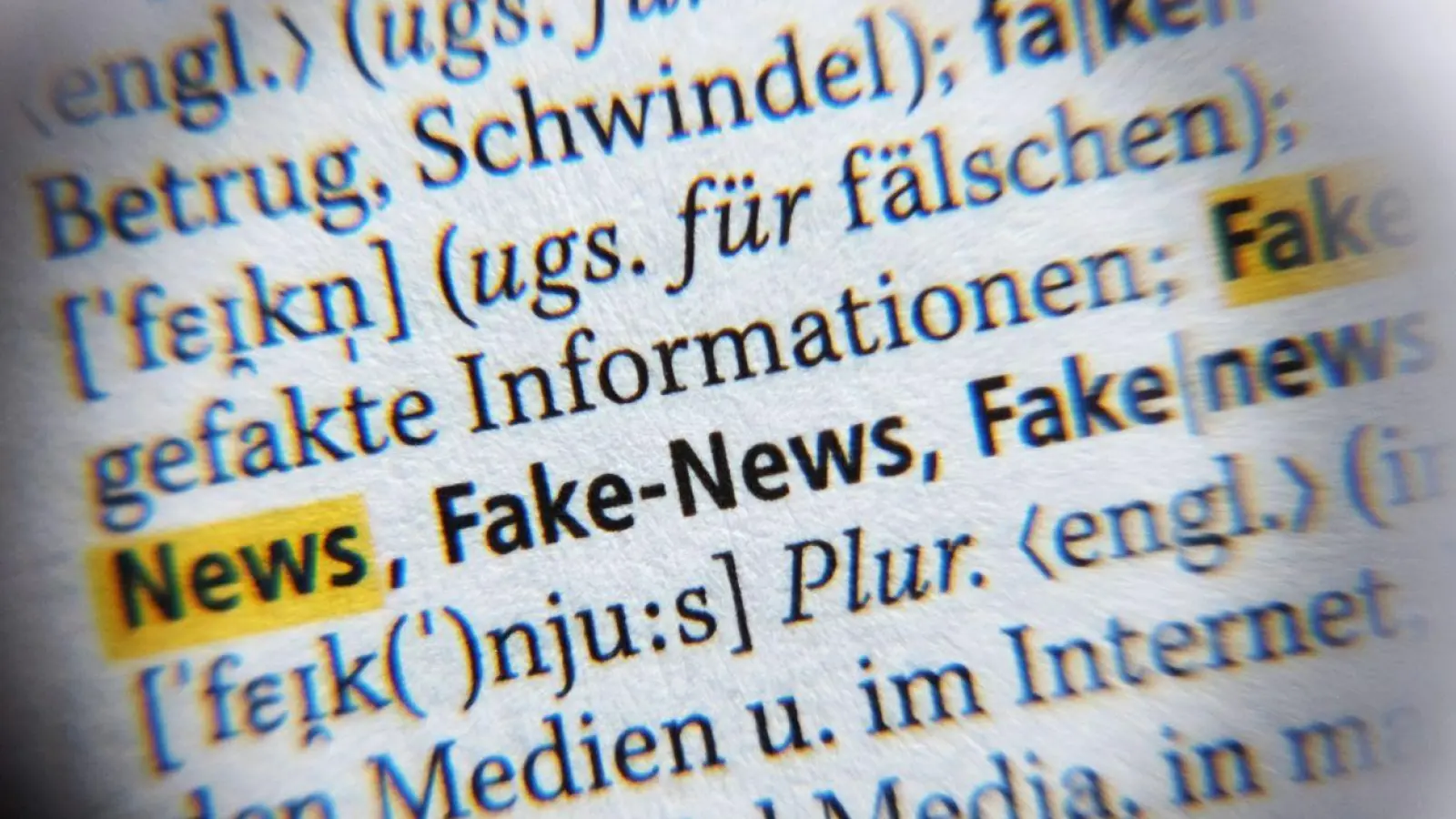 Der Internationale Faktencheck-Tag legt das Augenmerk auf die Reichweite und den Einfluss von Falsch-Informationen im Netz. (Foto: Jens Kalaene/dpa)