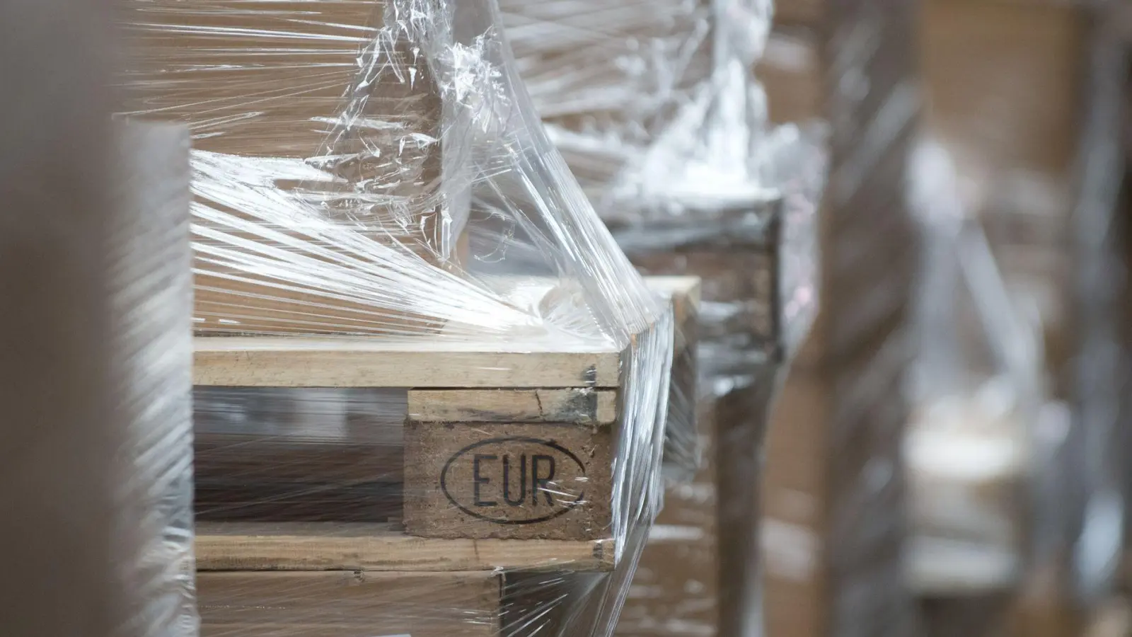 Wenn der Lieferant Ware auf Holzpaletten bringt, sollten Verbraucher nach den Rückgabe-Konditionen fragen. (Foto: Bernd Thissen/dpa/dpa-tmn)