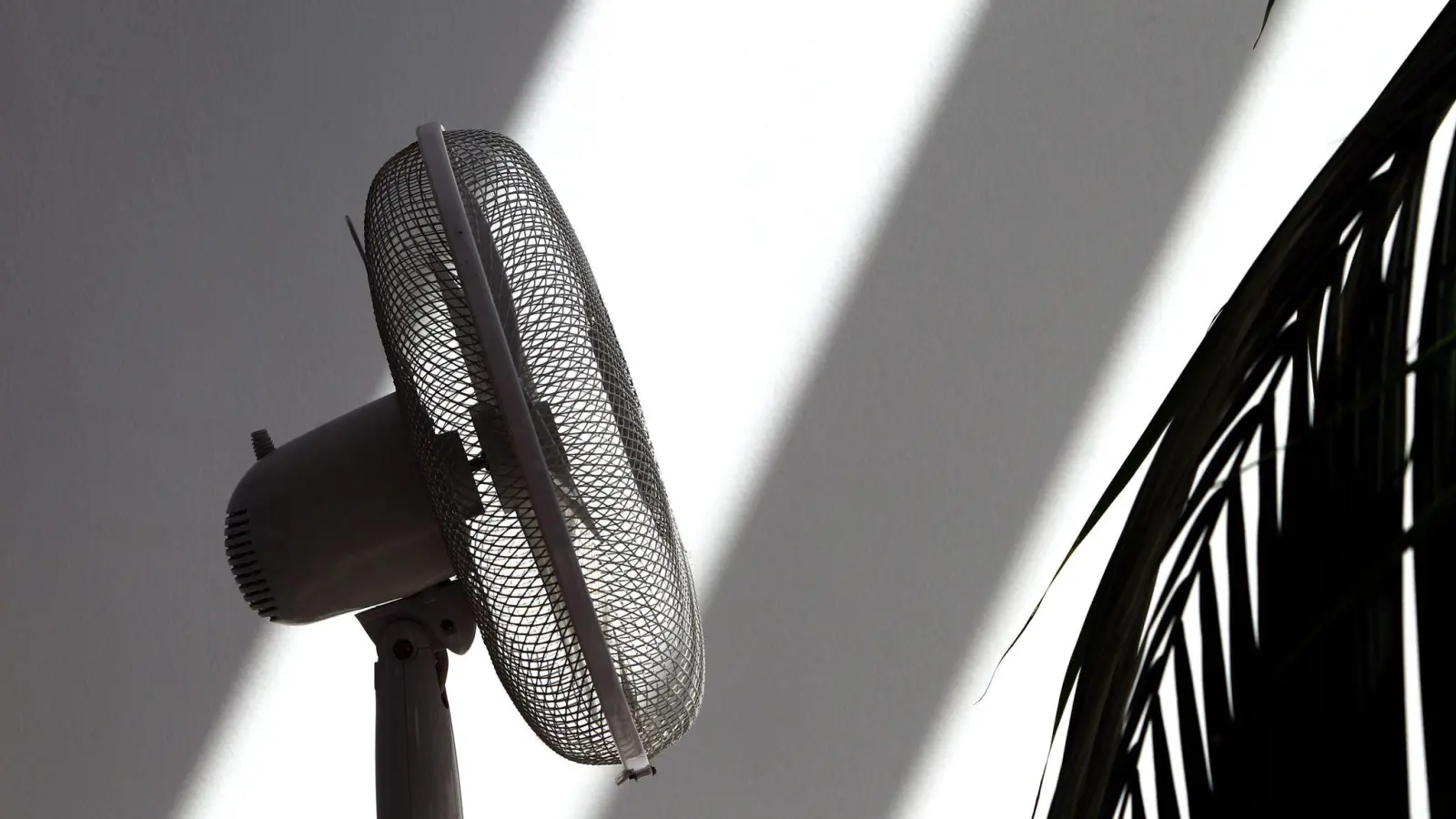 Ein Ventilator verschafft zumindest ein bisschen frische Luft bei Hitze. (Foto: Karl-Josef Hildenbrand/dpa/dpa-tmn)