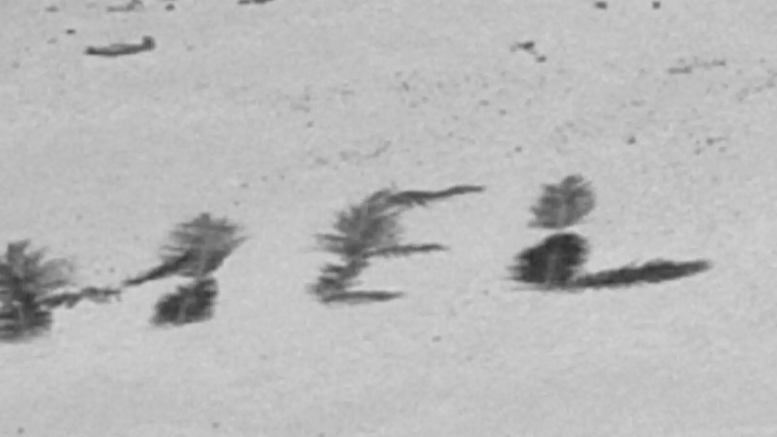 „Bemerkenswertes Zeugnis ihres Willens, gefunden zu werden“: „Help“ mit Palmwedeln auf Sand geschrieben. (Foto: U.S. Coast Guard/dpa)