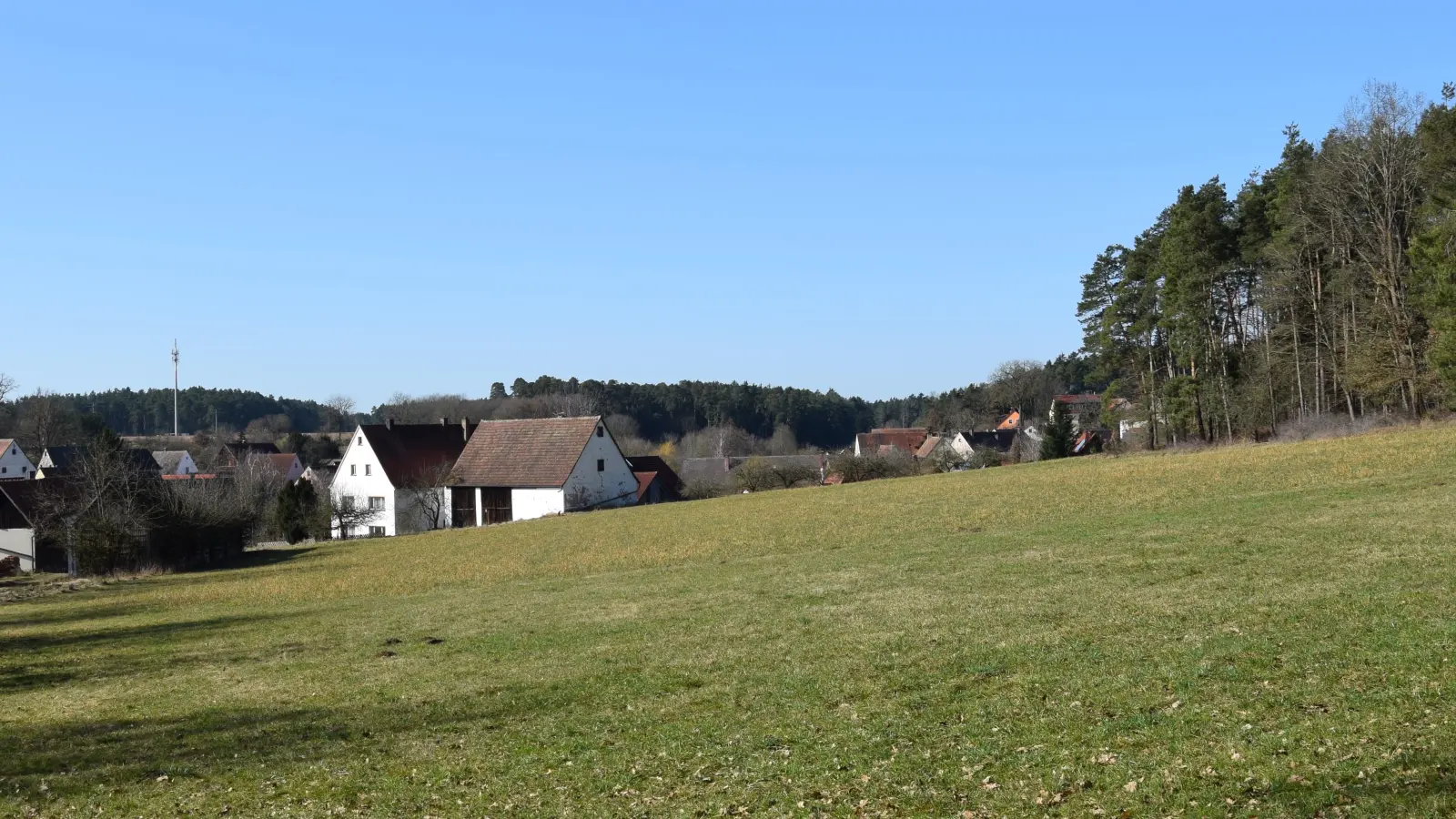 13 Baugrundstücke für Einfamilienhäuser und Doppelhaushälften will die Gemeinde Neuendettelsau auf dieser Fläche im Ortsteil Aich entwickeln. (Foto: Florian Schwab)